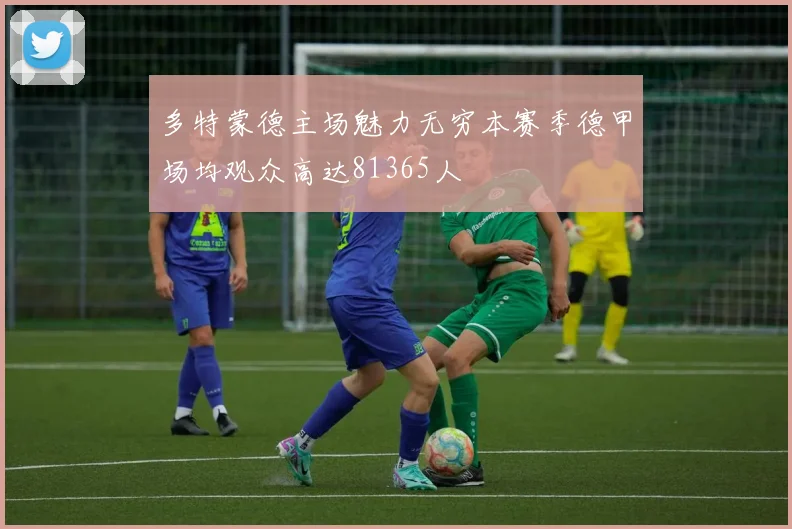 多特蒙德主场魅力无穷本赛季德甲场均观众高达81365人