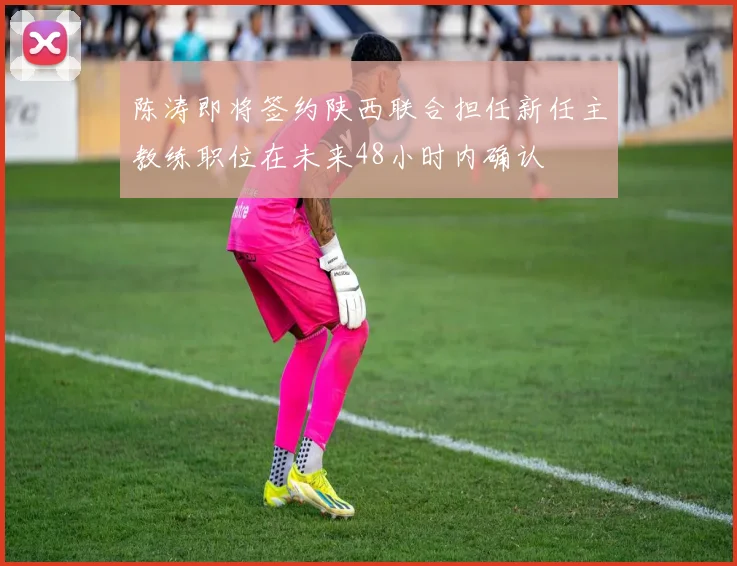 陈涛即将签约陕西联合担任新任主教练职位在未来48小时内确认